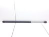 Tailgate/trunk strut/damper 