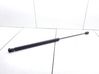 Tailgate/trunk strut/damper 