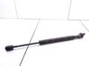 Rear window strut damper 9640894580