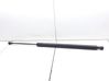 Tailgate/trunk strut/damper 8200219322