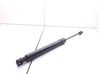 Tailgate/trunk strut/damper 1211833
