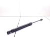 Tailgate/trunk strut/damper 1211833