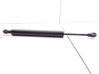 Tailgate/trunk strut/damper 12797509