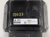 Engine control unit/module 1860C524