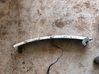 Front bumper cross member 21456480