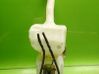 Windshield washer fluid reservoir/tank 51787578