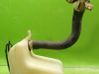 Windshield washer fluid reservoir/tank 