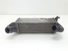 Intercooler radiator 824890093