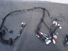 Front door wiring loom 103243280F