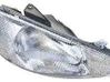 Lampa przednia 10117210001