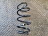 Front coil spring 