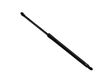 Tailgate/trunk strut/damper 8402405