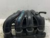 Kolektorius įsiurbimo 1058811S02