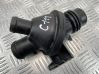 Thermostat/thermostat housing 10106811