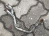 Coolant pipe/hose 