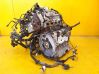 Motor CXE