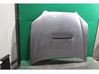 Motorhaube 57229AG0009P
