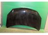 Engine bonnet/hood 651000024R