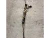 Steering rack 1566547