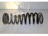 Rear coil spring 