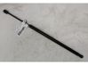 Tailgate/trunk strut/damper 