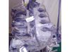 Motor ZJ
