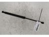 Front bonnet/hood damper/strut 