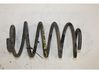 Rear coil spring 
