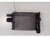Radiador intercooler 14461B680C
