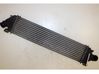 Intercooler radiator 1231015