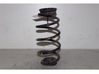 Muelle espiral trasero 