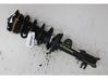 Amortiguador delantero 52003886