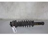 Rear shock absorber/damper 