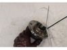 Rear wheel hub 51754196