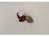 Sliding door upper roller guide/hinge 