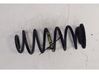 Rear coil spring 