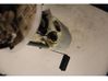Bomba interna de combustible 13507560001