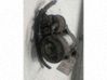 Motor de arranque A0051512601