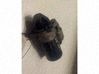 Motor de arranque A0051513801