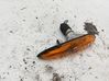 Front fender indicator light 69113685
