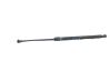 Tailgate/trunk strut/damper 8P3827552