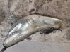 Headlight/headlamp 10020061