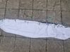 Roof airbag DB5378042D94AC