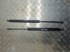 Tailgate/trunk strut/damper 