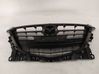 Front grill BJS750712