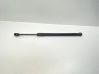 Tailgate/trunk strut/damper 7225517