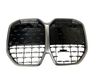 Front grill 8738565