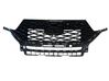 Front grill LB5B8200EBW
