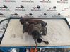 Turbina 31493379