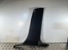 (B) pillar trim (bottom) 7319056